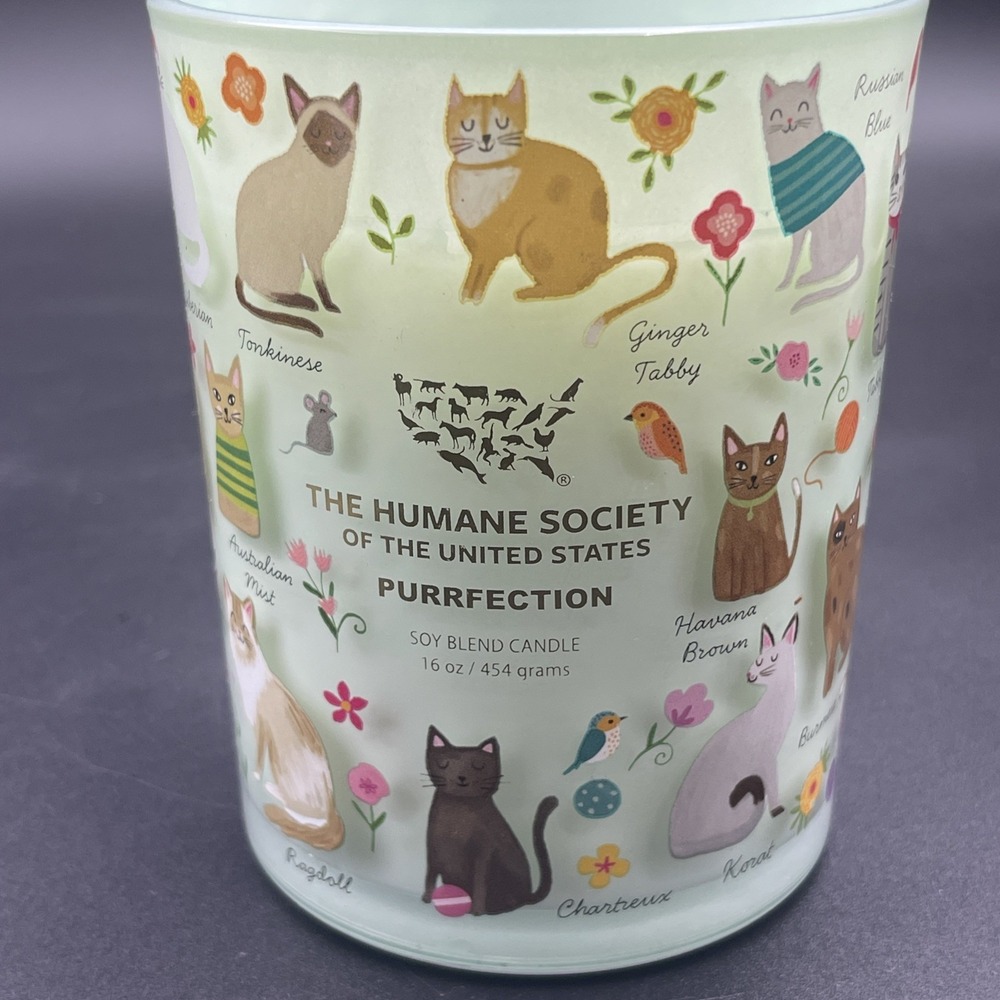 Humane Society Purrfection Cat Candle 16oz Soy Blend Glass Jar Green - Picture 3 of 3